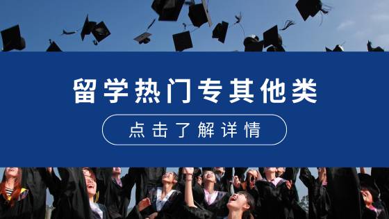 其他类