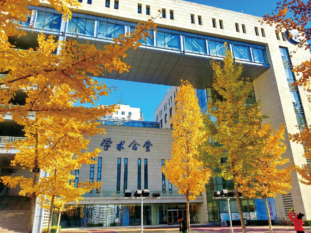 中央财经大学会计与财务国际本科项目招生简章