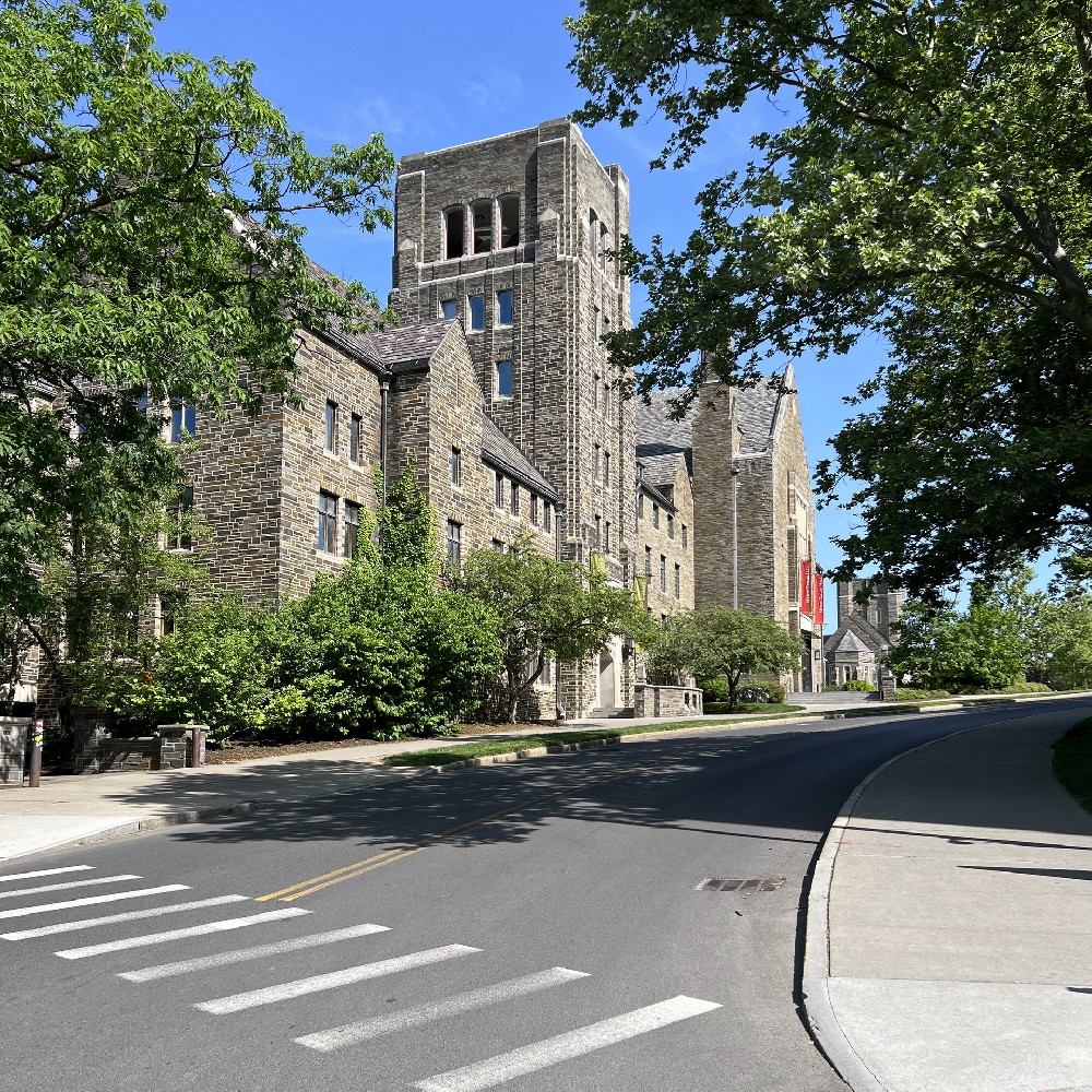 康奈尔大学