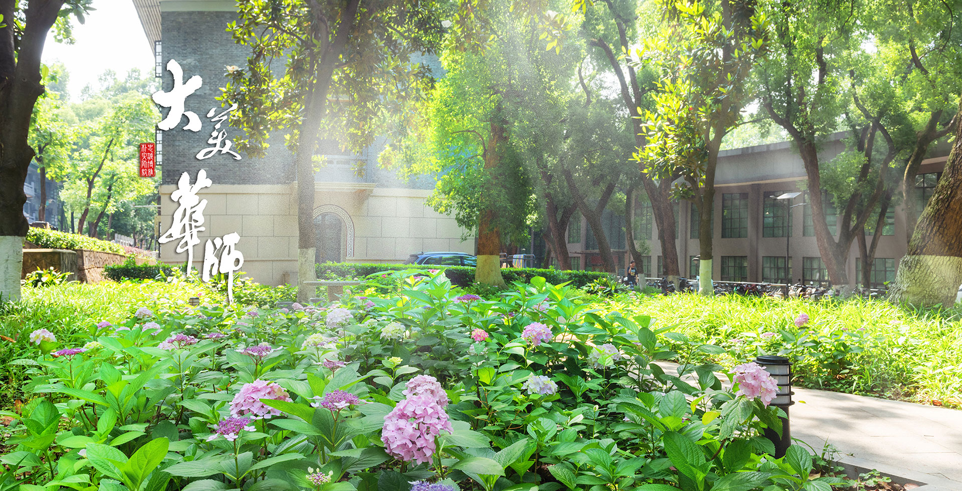 大美华师-花园