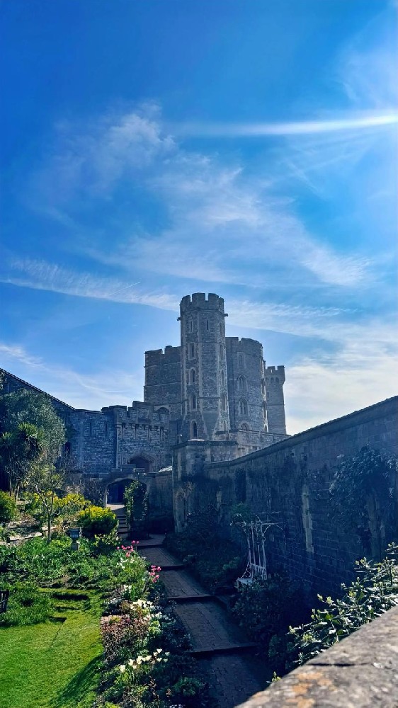 专业导航：英国本科热门与新兴专业全解析