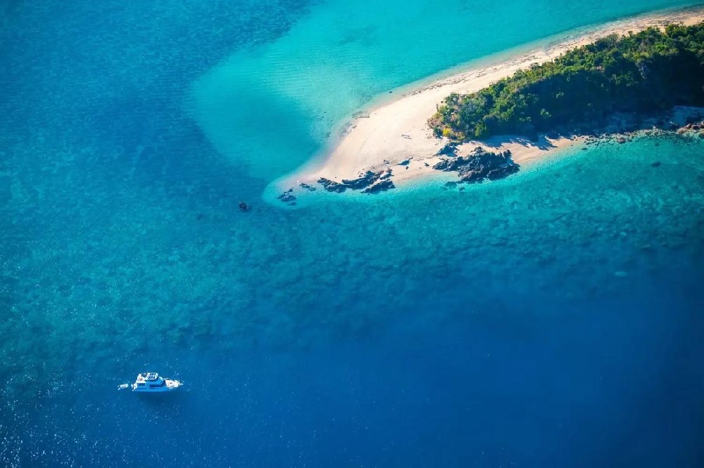 对于计划赴澳留学的学生而言，把握最新的政策脉搏是成功的第一步。近期，澳大利亚政府释放了一系列重要信号，明确展示其继续欢迎并优化国际学生体验的决心。  最核心的利好是2026年国际学生新生录取总量（NPL）的上调。澳大利亚政府正式宣布，2026年将接收29.5万名国际新生，这一数字比2025年增加了2.5万个名额。这不仅仅是数字的增长，更代表着澳大利亚致力于为国际教育行业提供稳定的发展环境，确保其教育品质和全球竞争力。值得注意的是，此配额针对的是“开始学习一门课程的国际新生”，而非注册总数，且已在读的学生不受此变化影响。  与扩招相匹配的，是签证审理流程的系统化优化。目前实施的 《第111号部长指令》（MD111） 建立了一套清晰的分级处理机制。该机制的核心是：在澳大利亚各教育机构为其2025学年发放的“入学确认函”（CoE）数量达到政府设定配额上限的80%之前，相关学生签证申请将进入 “优先审理”（Priority 1 - High） 通道，处理速度较快。一旦超过80%的阈值，后续申请将转入 “标准审理”（Priority 2 - Standard） 通道，预计周期可能延长至16周左右。  这意味着，对于申请热门院校或专业的学生，提前规划并尽早提交申请变得前所未有的重要，以锁定优先审理的资格，大幅缩短签证等待时间。不过，来自太平洋区域国家、东帝汶的学生以及澳大利亚政府奖学金获得者等特定群体，将继续享受快速签证服务。  此外，为了进一步规范留学市场、保护学生权益，澳大利亚政府从2026年3月31日起，将实施一项关于教育中介佣金的新规。新规禁止教育机构向中介支付佣金，以招募那些尚未完成原签证课程就试图在澳大利亚境内转学的学生（即“课程跳跃”）。这一举措旨在打击不道德的中介行为，确保教育机构和中介都以学生的真实学业利益为首要考虑，维护国际教育行业的完整性。学生仍然可以自费寻求中介服务进行合法的升学规划。  这些政策变化共同勾勒出澳大利亚留学的新图景：机会更多，流程更透明，市场更规范。对于真心求学的学生而言，这无疑是积极的信号。