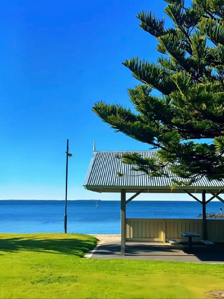 澳大利亚大学的教学体系、选课策略与学业挑战