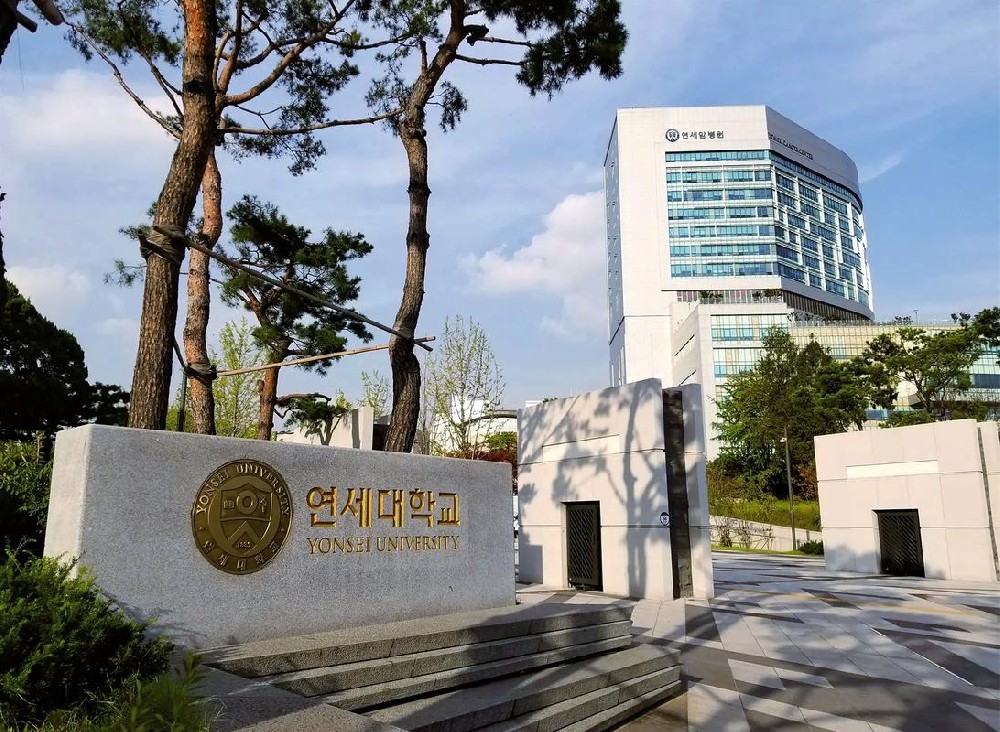 韩国留学签证D-2申请指南与最新政策利好