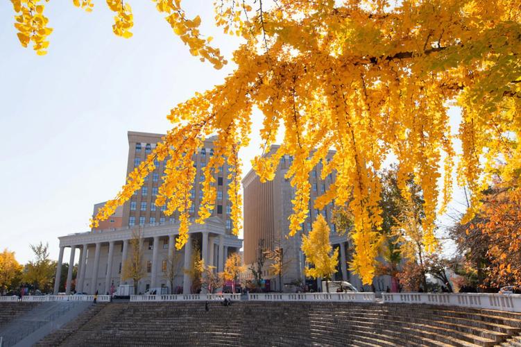韩国顶尖理工大学首次开放本科国际生通道
