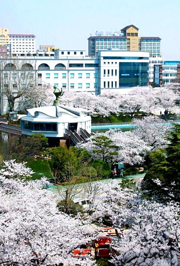 入境韩国前后的注意事项与生活适应