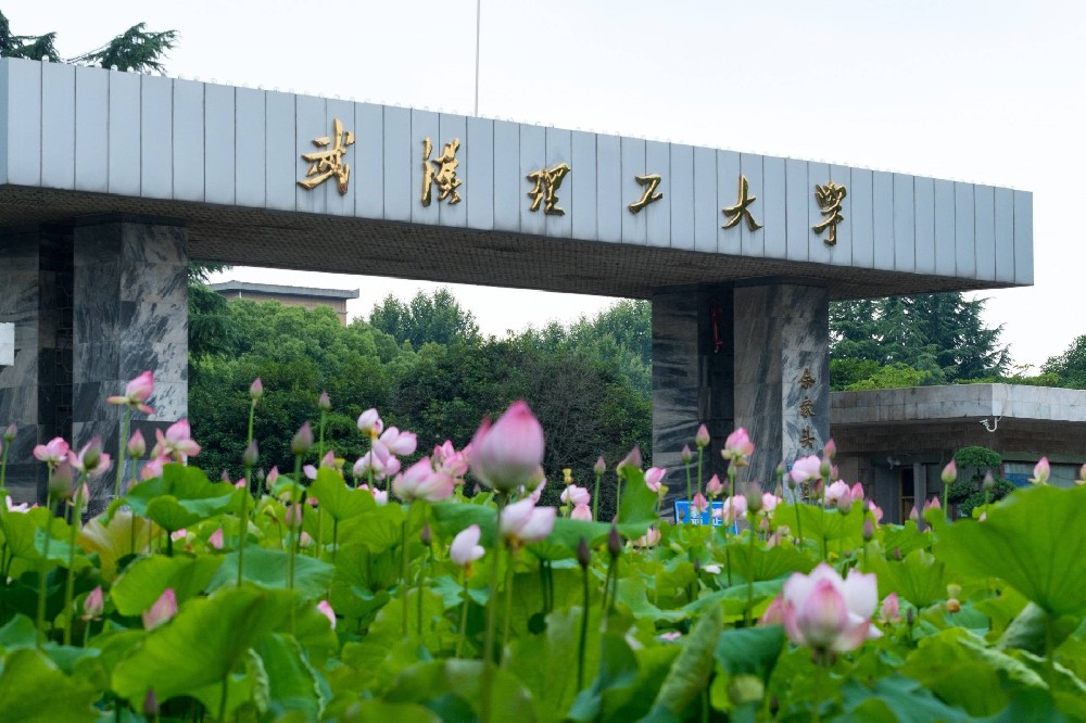 武汉理工大学艺术设计国际本科（2+2）项目2024年招生简章